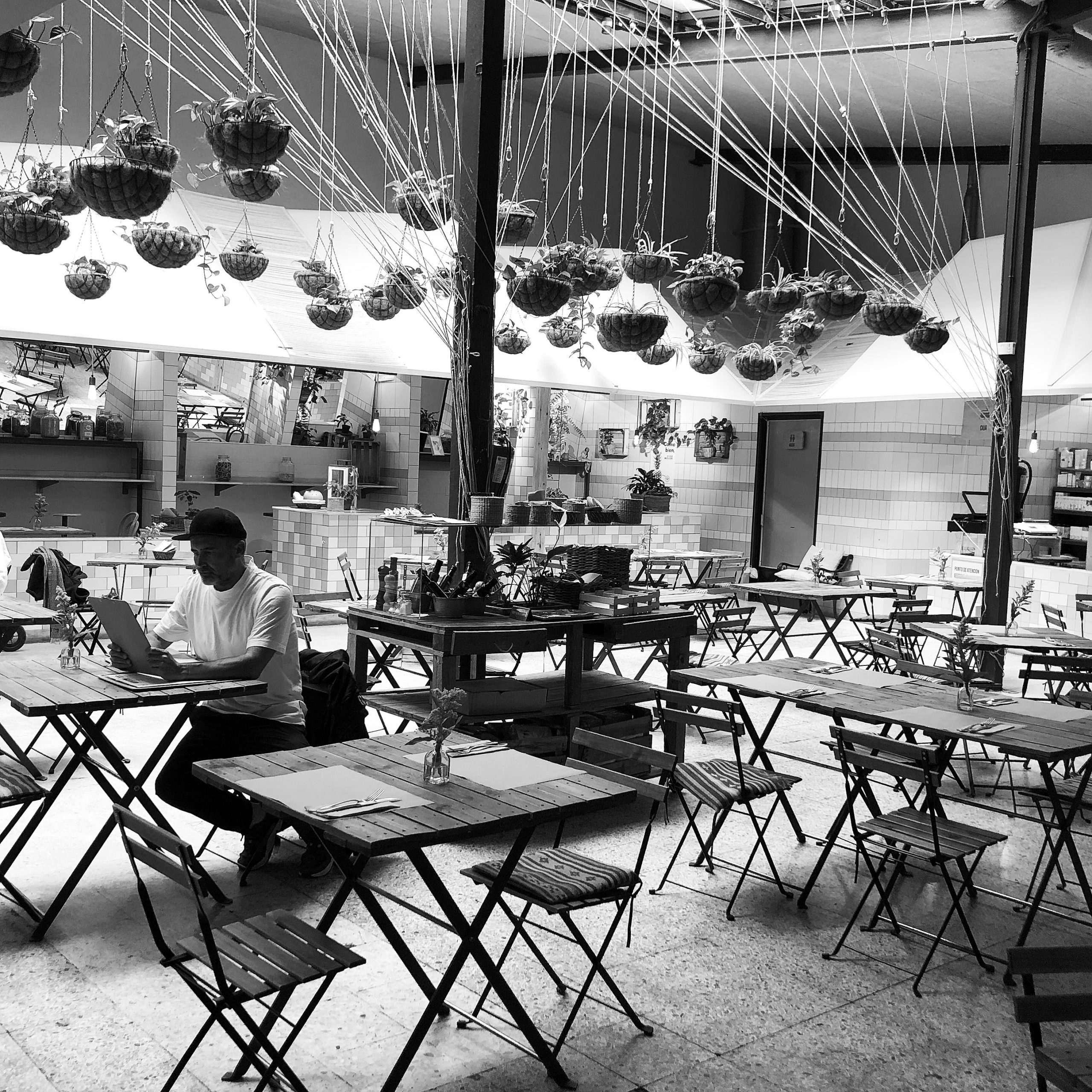 el huerto de lucas in madrid a market 100% organic