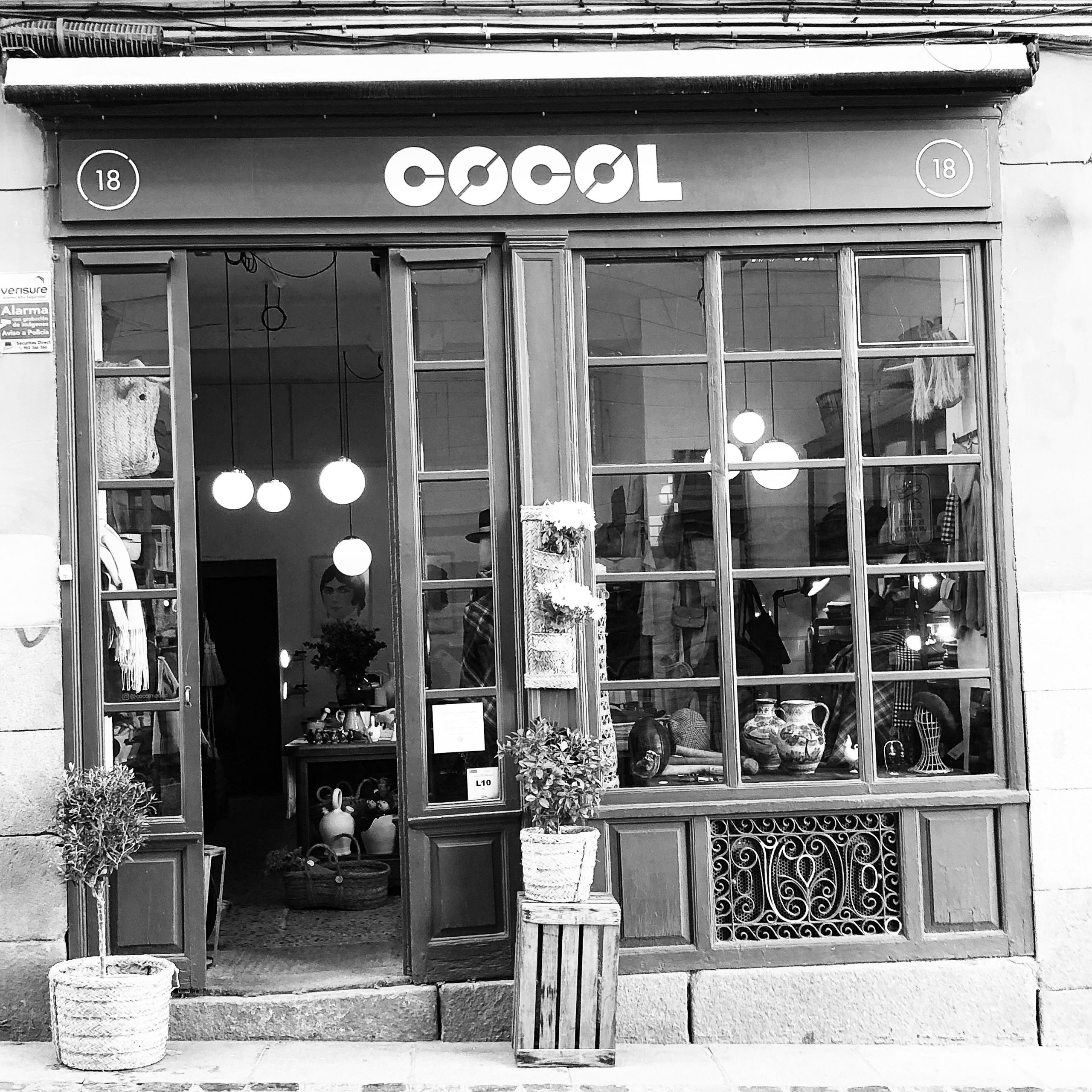Cocol madrid is The Perfect Son